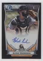 Blake Anderson #/15