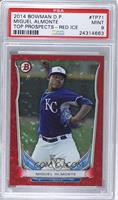 Miguel Almonte [PSA 9 MINT] #/150