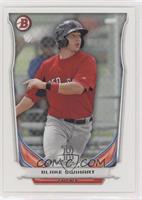 Blake Swihart [EX to NM]