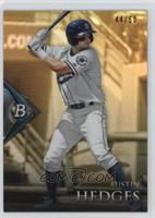 Austin Hedges #/50