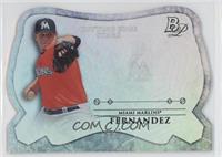 Jose Fernandez