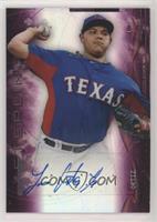 Luis Ortiz #/99