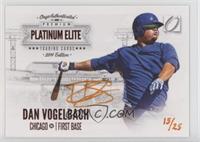 Daniel Vogelbach #/25