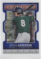 Brian Anderson #/100