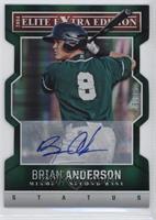 Brian Anderson #/25