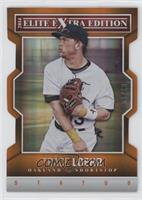 Trace Loehr #/10