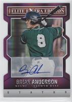 Brian Anderson #/75