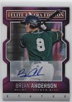 Brian Anderson #/75