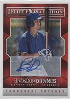 Brandon Downes #/799