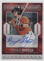 Aramis Garcia #/499