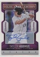 Taylor Gushue #/75