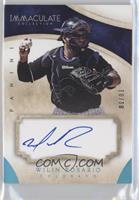 Wilin Rosario #/10