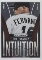 Jose Fernandez