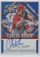 Carlos Rodon #/75