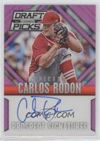 Carlos Rodon #/149