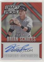 Brian Schales #/100