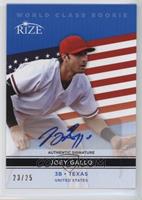 Joey Gallo #/25