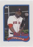 David Ortiz