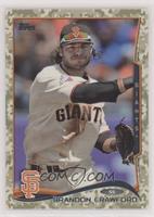 Brandon Crawford #/99