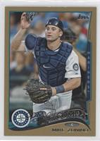 Future Stars - Mike Zunino #/2,014