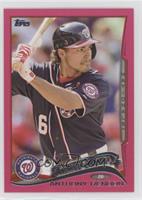 Future Stars - Anthony Rendon #/50