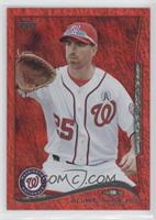 Adam LaRoche