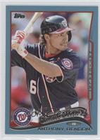 Future Stars - Anthony Rendon