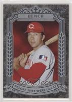 Johnny Bench