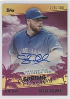 Steve Delabar #/300