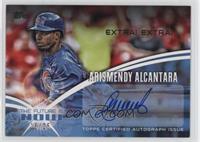 Arismendy Alcantara #/25