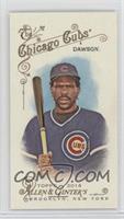 Andre Dawson