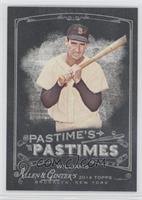 Ted  Williams