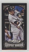 Avisail Garcia #/199