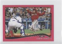 Cody Ross #/25