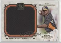 Adeiny Hechavarria #/35