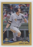 Greg Bird #/50