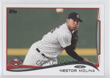 2014 Topps Pro Debut - [Base] #5 - Nestor Molina