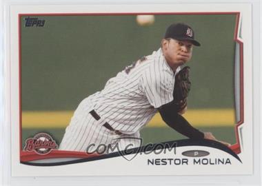 2014 Topps Pro Debut - [Base] #5 - Nestor Molina