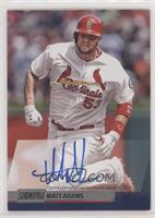 Matt Adams [EX to NM]