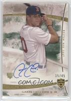 Garin Cecchini #/45