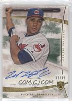 Michael Brantley #/45