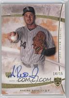 Andre Rienzo #/15