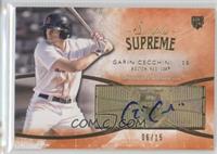 Garin Cecchini #/15