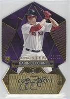 Garin Cecchini #/25