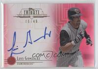 Luis Gonzalez #/45