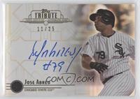 Jose Abreu #/25