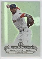 Dustin Pedroia