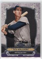 Ted Williams #/325