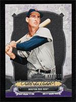 Ted Williams #/325