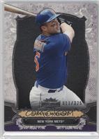 David Wright #/325